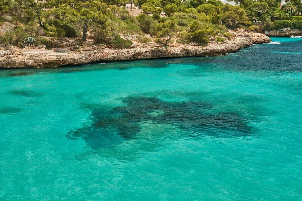 Barcel Ponent Playa Cala d'Or (Mallorca) Natureza foto